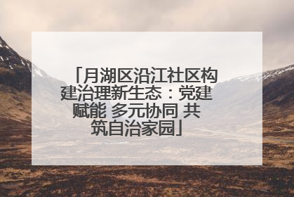 月湖区沿江社区构建治理新生态：党建赋能 多元协同 共筑自治家园