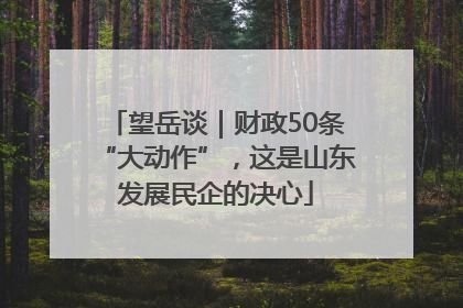 望岳谈｜财政50条“大动作”，这是山东发展民企的决心