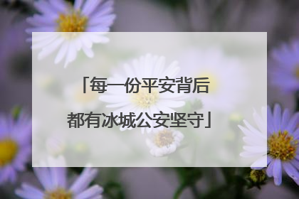 每一份平安背后 都有冰城公安坚守