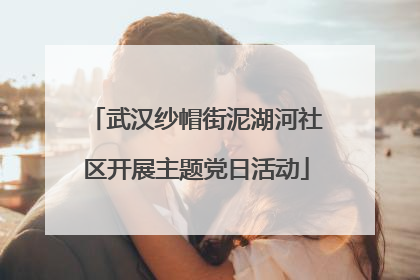 武汉纱帽街泥湖河社区开展主题党日活动