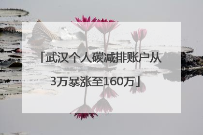武汉个人碳减排账户从3万暴涨至160万