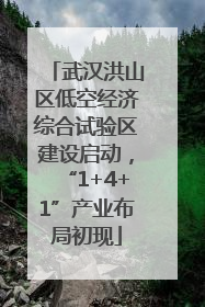 武汉洪山区低空经济综合试验区建设启动，“1+4+1”产业布局初现