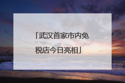 武汉首家市内免税店今日亮相