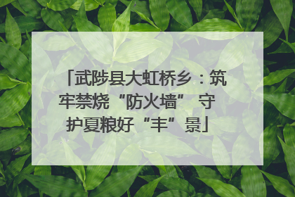 武陟县大虹桥乡：筑牢禁烧“防火墙” 守护夏粮好“丰”景