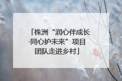 株洲“润心伴成长·同心护未来”项目团队走进乡村