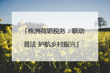 株洲荷塘税务：联动普法 护航乡村振兴