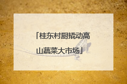 桂东村厨撬动高山蔬菜大市场
