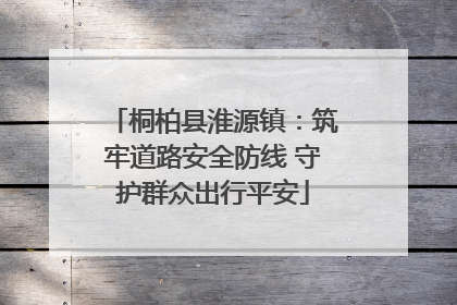 桐柏县淮源镇：筑牢道路安全防线 守护群众出行平安