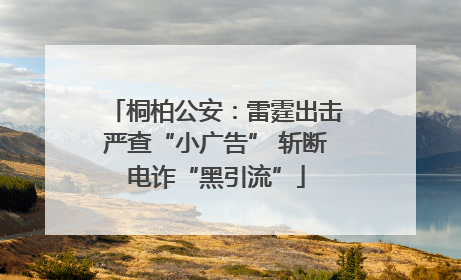 桐柏公安：雷霆出击严查“小广告” 斩断电诈“黑引流”