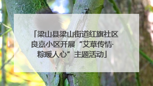 梁山县梁山街道红旗社区良嘉小区开展“艾草传情·粽暖人心”主题活动