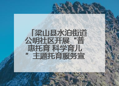 梁山县水泊街道公明社区开展“普惠托育 科学育儿”主题托育服务宣传活动