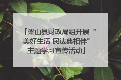 梁山县财政局组开展“美好生活 民法典相伴”主题学习宣传活动