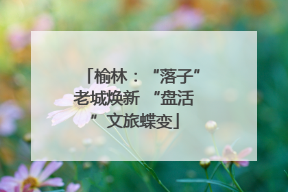 榆林：“落子”老城焕新 “盘活”文旅蝶变