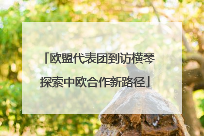 欧盟代表团到访横琴 探索中欧合作新路径