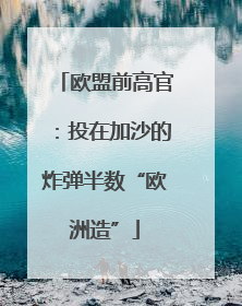 欧盟前高官：投在加沙的炸弹半数“欧洲造”