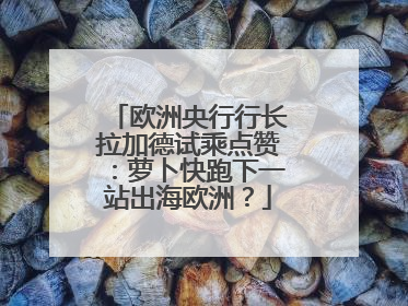 欧洲央行行长拉加德试乘点赞：萝卜快跑下一站出海欧洲？