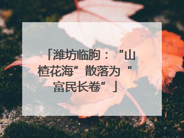 潍坊临朐：“山楂花海”散落为“富民长卷”