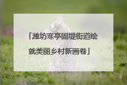 潍坊寒亭固堤街道绘就美丽乡村新画卷