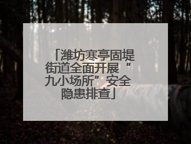 潍坊寒亭固堤街道全面开展“九小场所”安全隐患排查