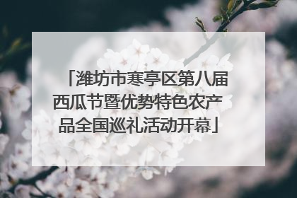 潍坊市寒亭区第八届西瓜节暨优势特色农产品全国巡礼活动开幕