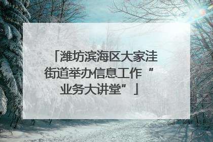 潍坊滨海区大家洼街道举办信息工作“业务大讲堂”
