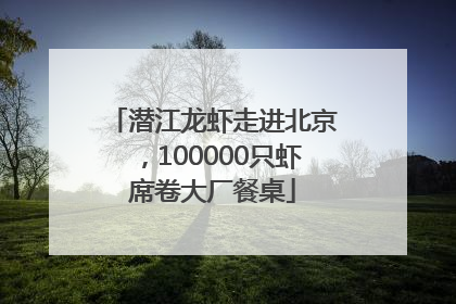 潜江龙虾走进北京，100000只虾席卷大厂餐桌