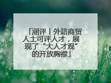 潮评丨外籍商贸人士可评人才，展现了“大人才观”的开放胸襟