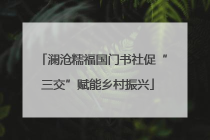 澜沧糯福国门书社促“三交”赋能乡村振兴