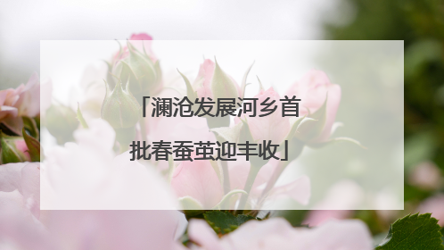 澜沧发展河乡首批春蚕茧迎丰收