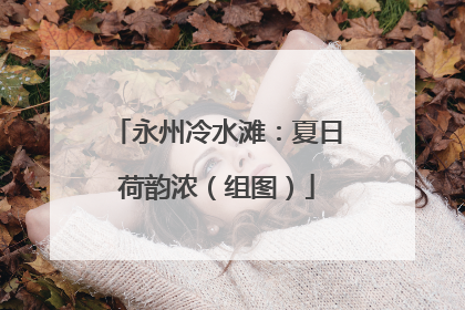 永州冷水滩：夏日荷韵浓（组图）