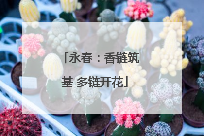 永春：香链筑基 多链开花