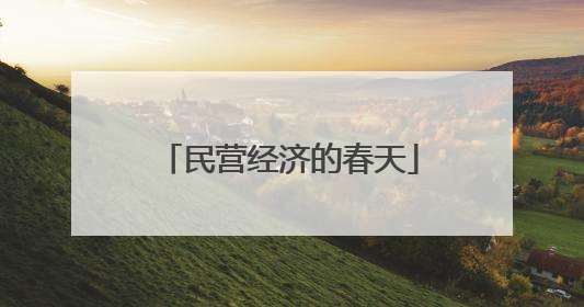 民营经济的春天