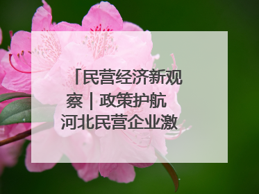民营经济新观察｜政策护航 河北民营企业激发新“冀”遇