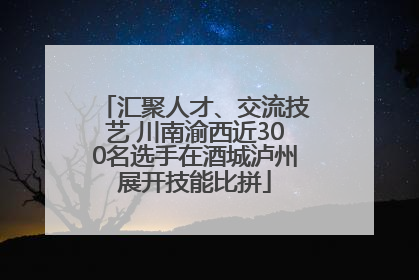 汇聚人才、交流技艺 川南渝西近300名选手在酒城泸州展开技能比拼