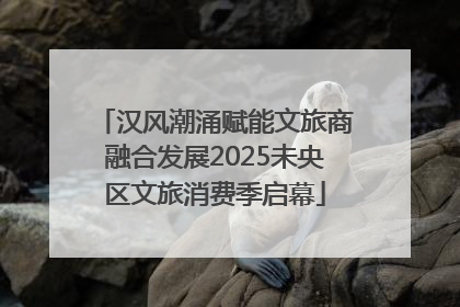 汉风潮涌赋能文旅商融合发展2025未央区文旅消费季启幕