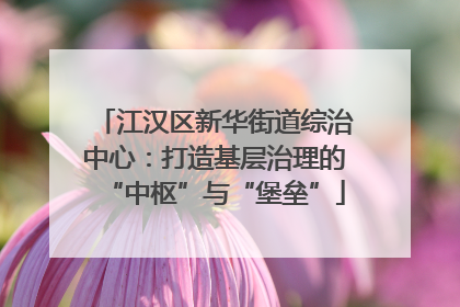 江汉区新华街道综治中心：打造基层治理的“中枢”与“堡垒”