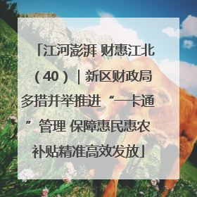 江河澎湃 财惠江北（40）｜新区财政局多措并举推进“一卡通”管理 保障惠民惠农补贴精准高效发放
