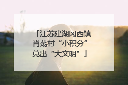 江苏建湖冈西镇肖荡村“小积分”兑出“大文明”