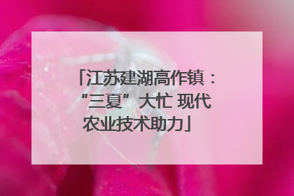 江苏建湖高作镇：“三夏”大忙 现代农业技术助力