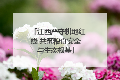 江西严守耕地红线 共筑粮食安全与生态根基