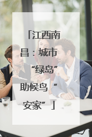 江西南昌：城市“绿岛”助候鸟“安家”