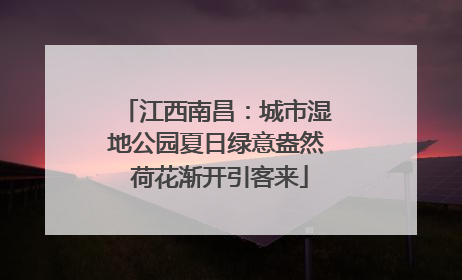 江西南昌：城市湿地公园夏日绿意盎然 荷花渐开引客来