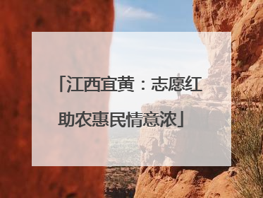江西宜黄：志愿红助农惠民情意浓