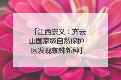 江西崇义：齐云山国家级自然保护区发现蜘蛛新种