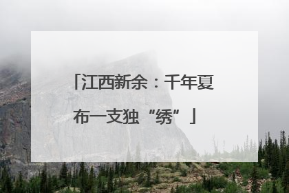 江西新余：千年夏布一支独“绣”