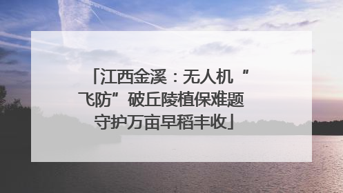 江西金溪：无人机“飞防”破丘陵植保难题 守护万亩早稻丰收