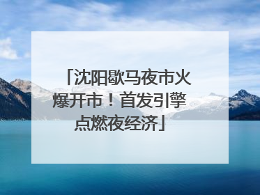 沈阳歇马夜市火爆开市！首发引擎点燃夜经济