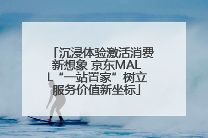 沉浸体验激活消费新想象 京东MALL“一站置家”树立服务价值新坐标