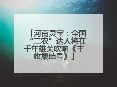 河南灵宝：全国“三农”达人将在千年雄关吹响《丰收集结号》