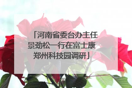 河南省委台办主任景劲松一行在富士康郑州科技园调研